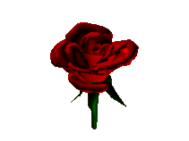 rose0pn.gif